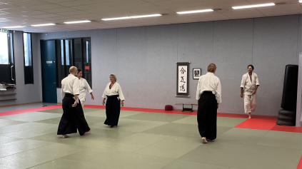 Aikido in Sporthal de Pijp Amsterdam